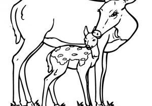 Coloriage Chevreuil A Imprimer Dessin De Coloriage Chevreuil   Imprimer Cp