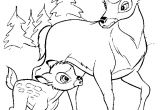 Coloriage Chevreuil A Imprimer Dessins De Chevreuils – Jecolore