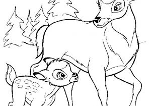 Coloriage Chevreuil A Imprimer Dessins De Chevreuils – Jecolore