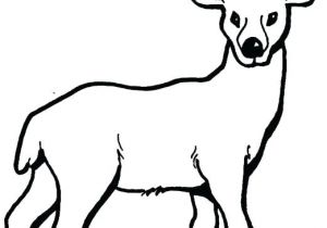 Coloriage Chevreuil A Imprimer Saclection De Coloriage Chevreuil A Imprimer Sur Laguerche Page 1