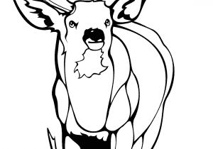 Coloriage Chevreuil A Imprimer Sélection De Coloriage Chevreuil   Imprimer Sur Laguerche Page 1