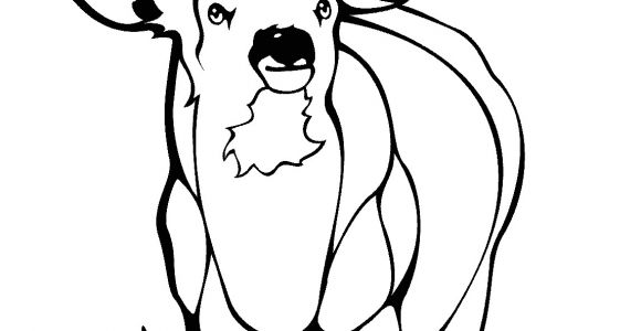 Coloriage Chevreuil A Imprimer Sélection De Coloriage Chevreuil   Imprimer Sur Laguerche Page 1