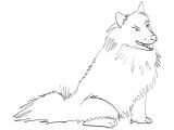 Coloriage Chien à Imprimer Sur Hugolescargot Com Coloriage Esquimau   Imprimer