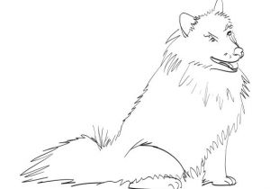 Coloriage Chien à Imprimer Sur Hugolescargot Com Coloriage Esquimau   Imprimer