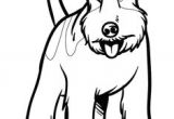 Coloriage Chien à Imprimer Sur Hugolescargot Com Les 191 Meilleures Images De Coloriages Animaux De Pagnie