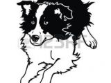 Coloriage Chien Border Collie 103 Meilleures Images Du Tableau Gravure Chien