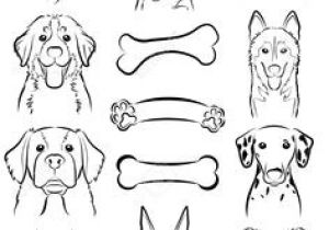 Coloriage Chien Border Collie 103 Meilleures Images Du Tableau Gravure Chien