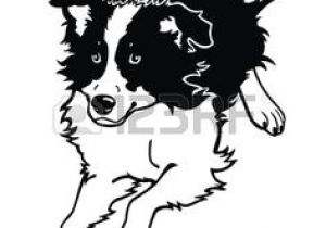 Coloriage Chien Border Collie 103 Meilleures Images Du Tableau Gravure Chien