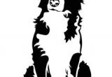 Coloriage Chien Border Collie 28 Meilleures Images Du Tableau Pour Mon toutou