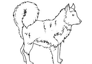 Coloriage Chien De Traineau à Imprimer Coloriage A Imprimer Volt Az Coloriage