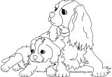 Coloriage Chien De Traineau à Imprimer Coloriage Chien Et Chiot