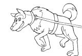 Coloriage Chien De Traineau Coloriage Chien De Traineau à Imprimer
