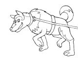 Coloriage Chien De Traineau Coloriage Chien De Traineau à Imprimer