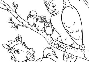 Coloriage Chouette A Imprimer 46 Dessins De Coloriage Chouette à Imprimer