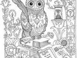 Coloriage Chouette De Noel 50 Best Dessin Coloriage Images On Pinterest