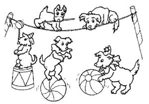 Coloriage Cirque En Ligne Coloriage Cirque En Ligne