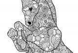 Coloriage Coca 58 Best Coloriage Chevaux Images On Pinterest