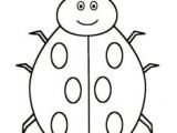 Coloriage Coccinelle A Imprimer Gratuit 282 Meilleures Images Du Tableau Coccinelles