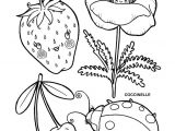 Coloriage Coccinelle A Imprimer Gratuit Colorie Madame Fraise Madame Coquelicot Mamie Coccinelle