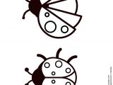 Coloriage Coccinelle A Imprimer Gratuit Deux Images Vue D En Haut De Deux Coccinelles   Colorier