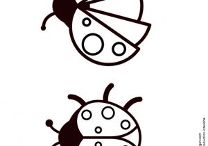 Coloriage Coccinelle A Imprimer Gratuit Deux Images Vue D En Haut De Deux Coccinelles   Colorier