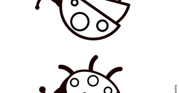 Coloriage Coccinelle A Imprimer Gratuit Deux Images Vue D En Haut De Deux Coccinelles   Colorier