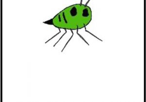 Coloriage Coccinelle Mal Lunée Coloriage Coccinelle Mal Lunee Ohbqfo