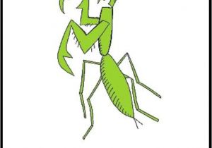 Coloriage Coccinelle Mal Lunée Coloriage Coccinelle Mal Lunee Ohbqfo