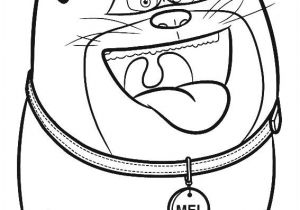 Coloriage Comme Des Betes 39 Best Coloriage Me Des Bªtes Images On Pinterest