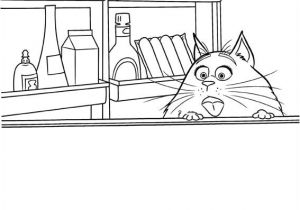 Coloriage Comme Des Betes 39 Best Coloriage Me Des Bªtes Images On Pinterest