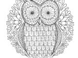 Coloriage Compliqué A Imprimer Gratuit Best Chouettes Dessin & Peinture Images On Pinterest