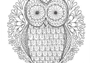Coloriage Compliqué A Imprimer Gratuit Best Chouettes Dessin & Peinture Images On Pinterest