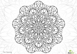 Coloriage Compliqué A Imprimer Gratuit Les 183 Meilleures Images Du Tableau Kolorowanki Dla DrosÅych