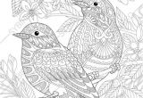 Coloriage Compliqué Adulte 1487 Best Coloriages Images On Pinterest