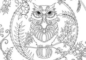 Coloriage Compliqué Animaux 56 Best Color Pages Images On Pinterest