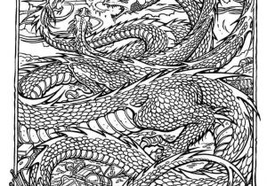 Coloriage Compliqué Animaux 56 Best Color Pages Images On Pinterest