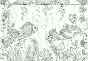 Coloriage Compliqué Paysage Les 55 Meilleures Images Du Tableau Coloring Sur Pinterest