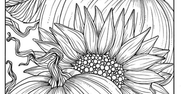 Coloriage Corbeau A Imprimer épinglé Sur Adult Coloring Pages
