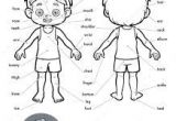 Coloriage Corps Humain Imprimer Gratuit Coloriage Corps Humain Imprimer Gratuit Google Search