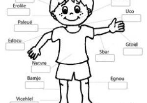 Coloriage Corps Humain Maternelle Cathy M Ari Cathymonari On Pinterest