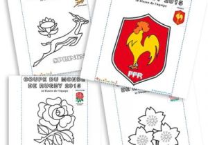 Coloriage Coupe Du Monde De Rugby Blasons Et Symboles Des équipes De Rugby Rugby Sur Tête