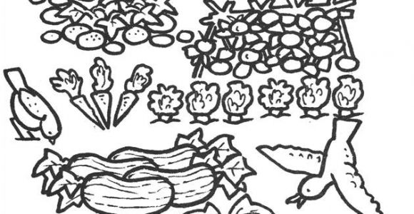Coloriage Courgette 110 Best Coloriage Du Potager Images On Pinterest