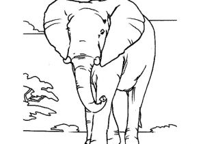Coloriage D Afrique A Imprimer Coloriage Elephant A Imprimer Az Coloriage