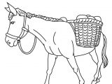 Coloriage D Ane 52 Best Coloriages Animaux De La Ferme Images On Pinterest