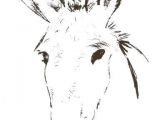 Coloriage D Ane Afficher L Image D origine ¢nes Pinterest