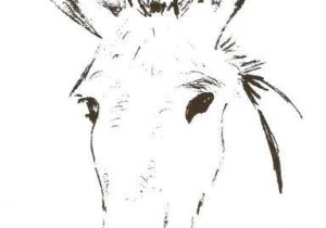 Coloriage D Ane Afficher L Image D origine ¢nes Pinterest