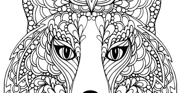 Coloriage D Animaux En Ligne épinglé Par Justcolor