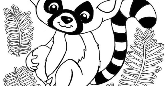 Coloriage D Animaux Mignon Coloriage D Un Mignon Bébé Lémurien