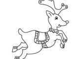 Coloriage D Animaux Pour Enfants Dessin De No L Facile   Reproduire