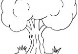Coloriage D Arbre A Imprimer Gratuit 10 Coloriage Tronc D Arbre Imprimer